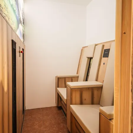 格雷斯豪夫酒店 4* 圣安东阿尔贝格